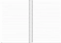 Burde Kalenteri 2024 Scribble Ii A5