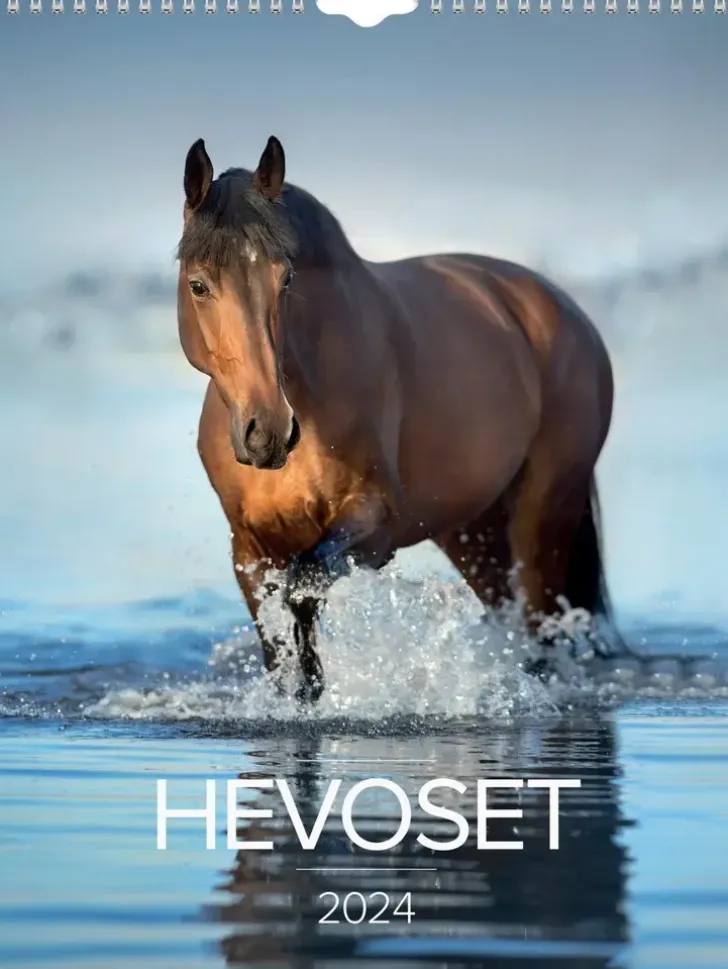 Burde Seinakalenteri 2024 Hevoset