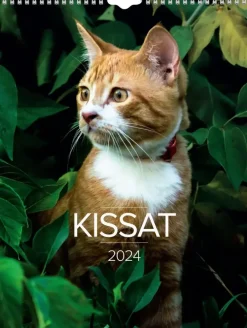 Burde Seinakalenteri 2024 Kissat