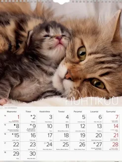 Burde Seinakalenteri 2024 Kissat