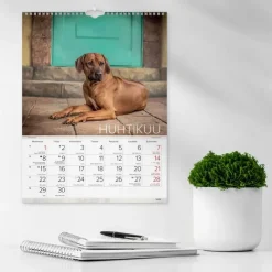 Burde Seinakalenteri 2024 Koirat