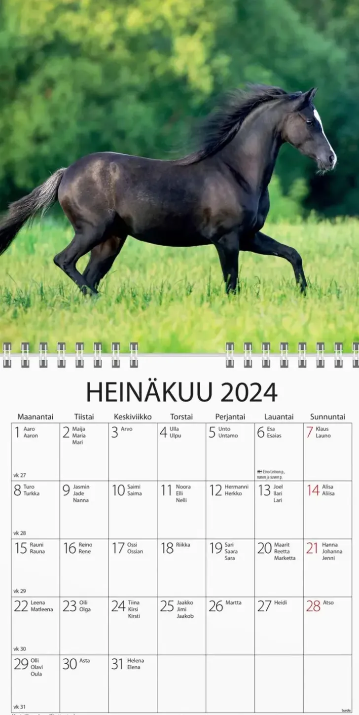 Burde Seinakalenteri 2024 Ponit