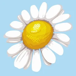 Figuredart Mini Numeromaalaus Kukka