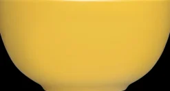 Iittala Teema Kulho 1,65 L Hunaja