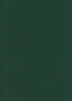 Karto Kortti Joulunvihrea 10X15Cm 220Gsm 10Kpl/Pss