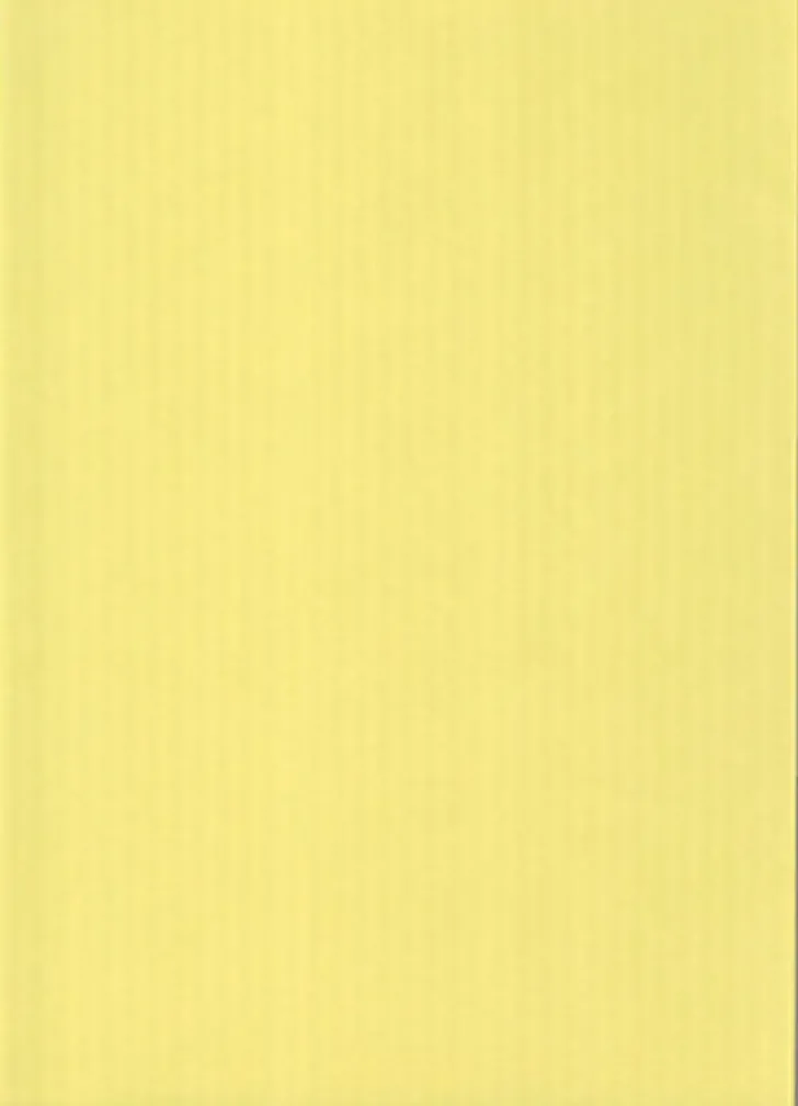 Karto Kortti Vaaleankeltainen 10X15Cm 220Gsm 10Kpl/Pkt