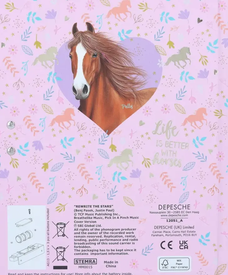 Miss Melody Koodillinen & Soiva Paivakirja