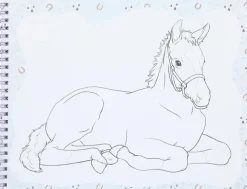 Miss Melody Varityskirja