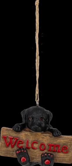 Roikkuva Koristekoira, Erilaisia