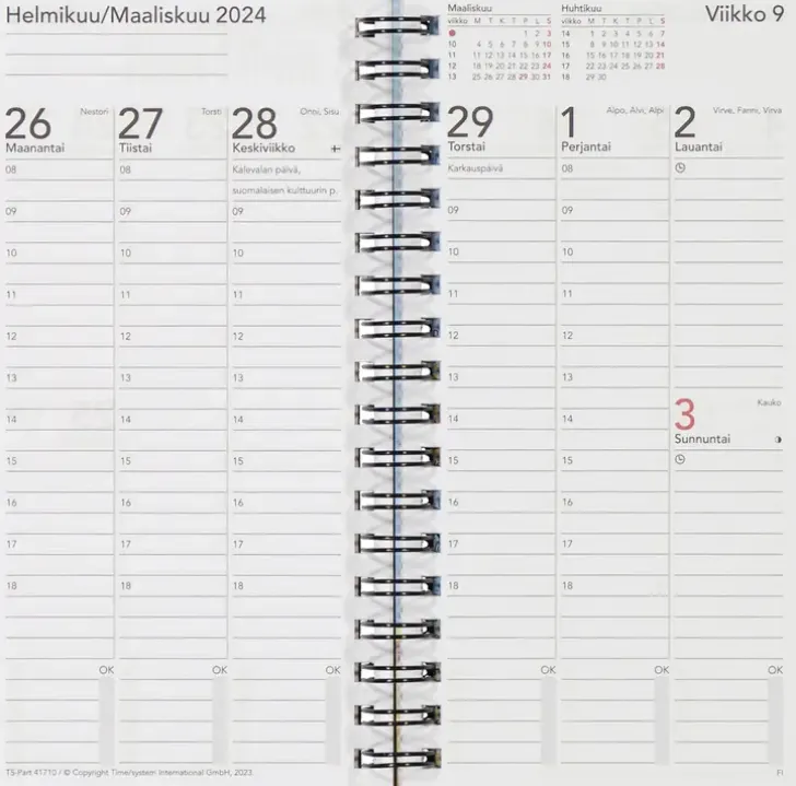 Taskukalenteri Time System Memory Pinkki 2024