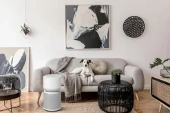 Tcl Breeva A3Ww Ilmanpuhdistin